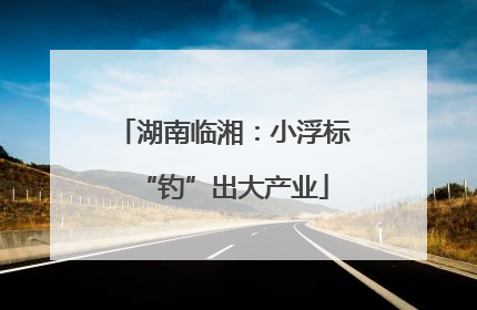 湖南临湘：小浮标“钓”出大产业